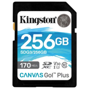 Флеш (Flash) карты Kingston Canvas Go! Plus SDG3/256GB (256 ГБ)