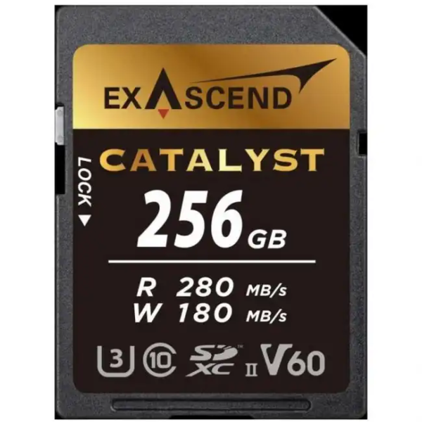 Флеш (Flash) карты Exascend Catalyst EX256GSDV60 (256 ГБ)