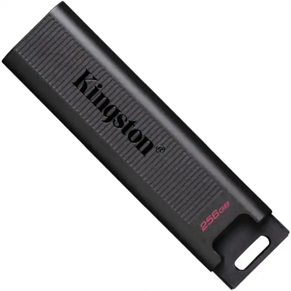 USB флешка (Flash) Kingston DataTraveler Max DTMAX/256GB (256 ГБ)